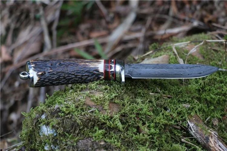 TB2FyU3npXXXXXMXXXXXXXXXXXX_!!2646315462