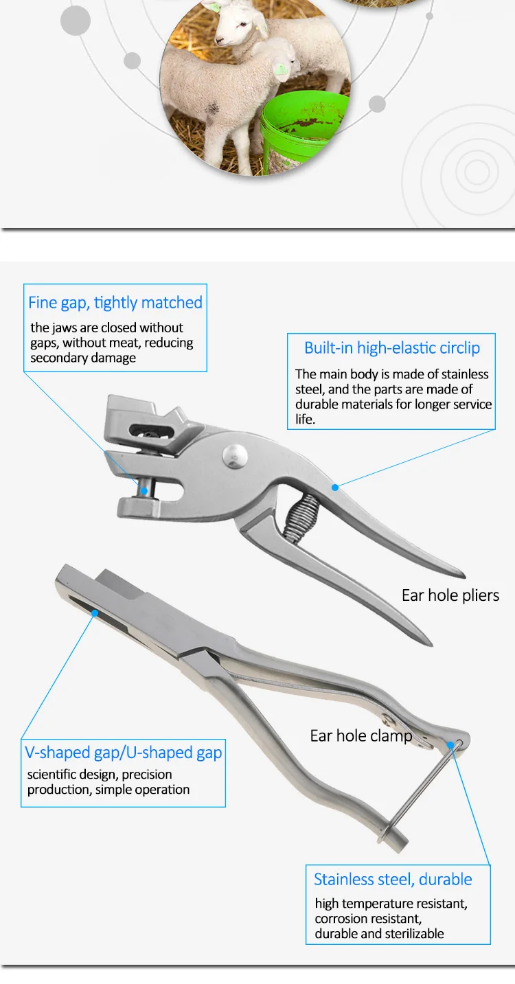 ear hole forceps_3