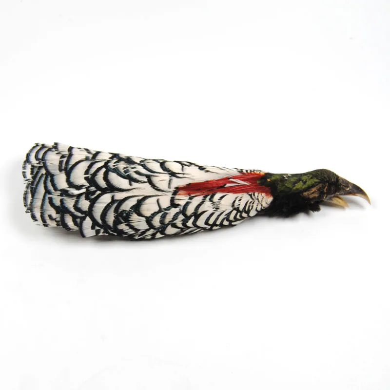 

Natural Complete Lady Amherst Heads Feather for Fly Tying Salmon and Steelhead Pattern Fishing Flies Material