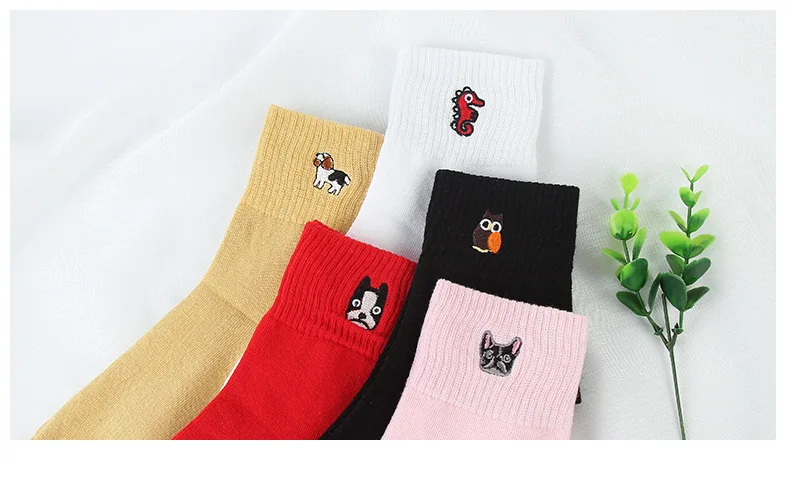 3867981829_1570314743