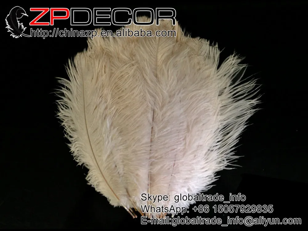Ostrich Feathers,  lb - 9-13OFF WHITE Ostrich Drab Wholesale Feathers (Bulk)  (2)