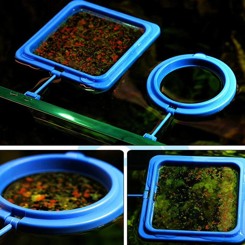 New Design Aquarium Feeding Ring Tools Accessory Fish Tank Station