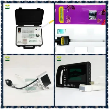 

SHEEP PIG Semen Collection Ovulation Visual Insemination Ultrasound Pregnancy Artificial Insemination Accurate fetal uterus VET