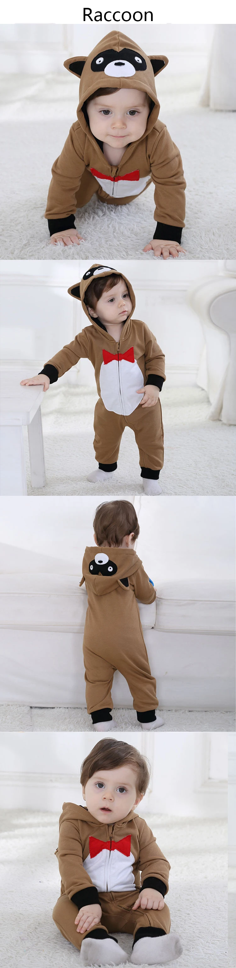 H3240 Raccoon2