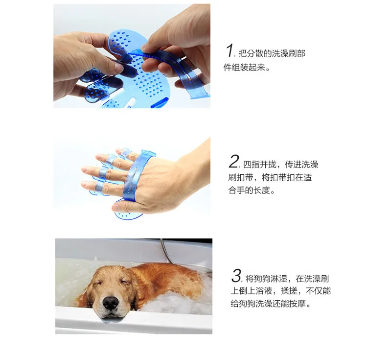 4534965700_1041227635.jpg