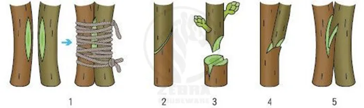 44