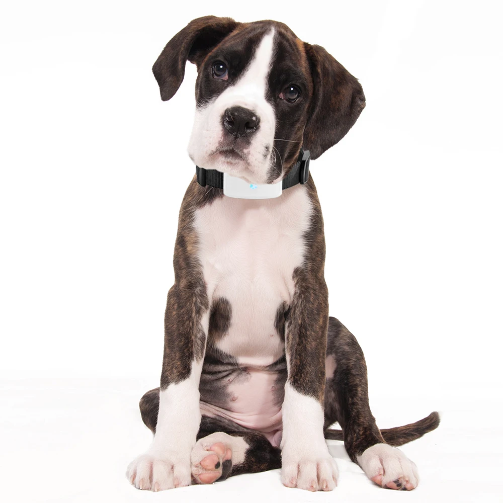 Бесплатная доставка бесплатное онлайн отслеживание популярный мини трекер для