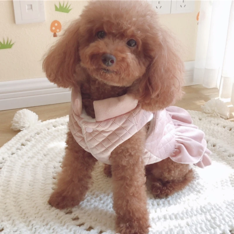Зимняя теплая куртка для маленьких собак хлопковая одежда щенков Shih Tzu