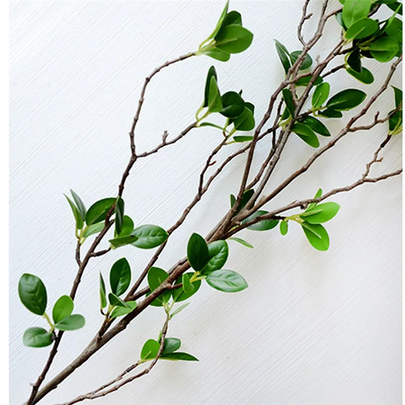green plants (6)