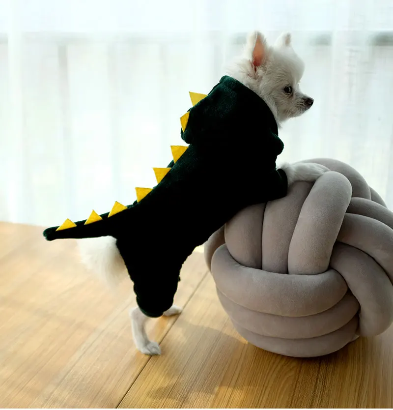 designer dog coats