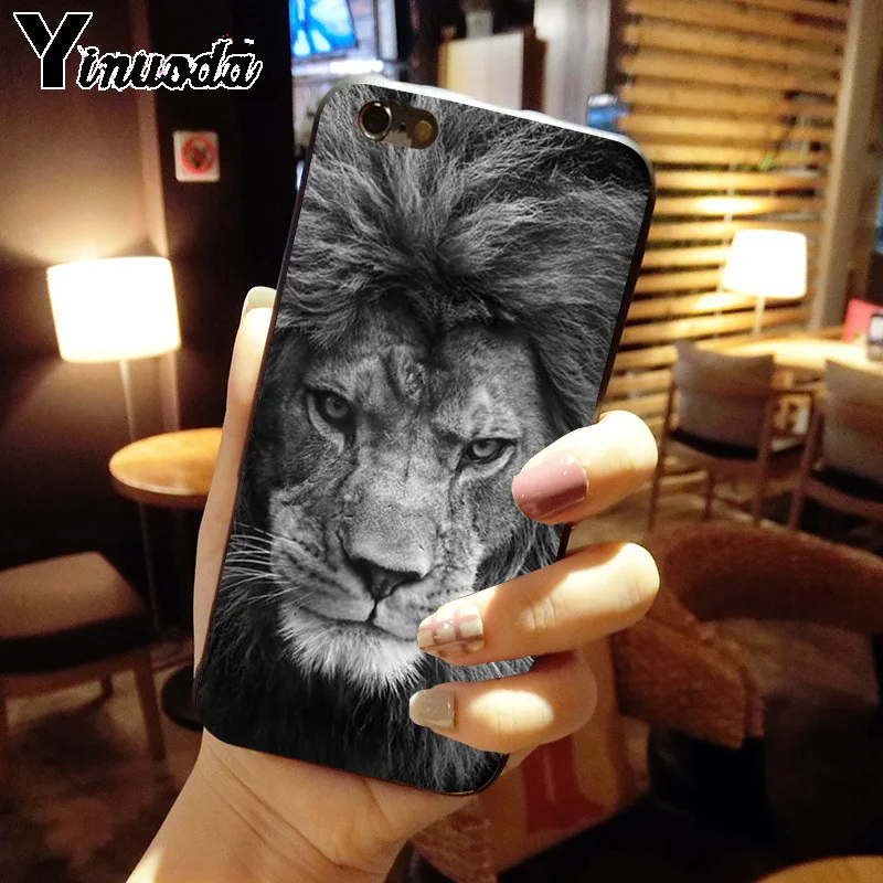 ASLAN LION THE CHRONICLES 