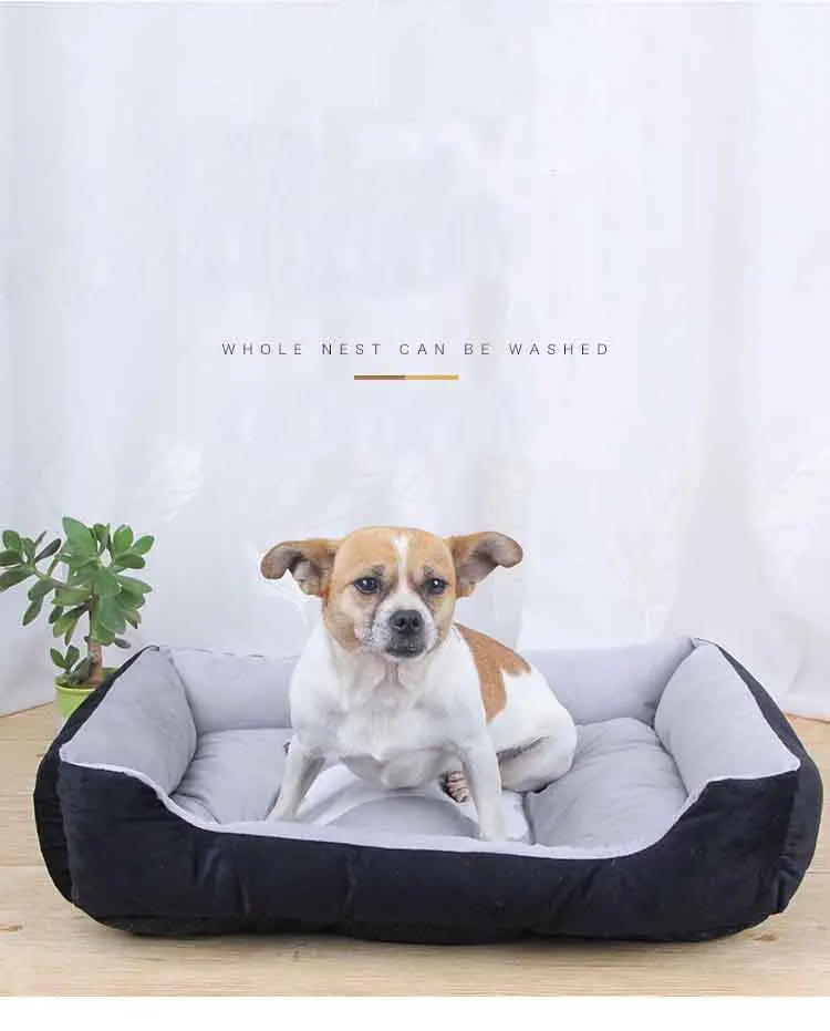 pet sofa