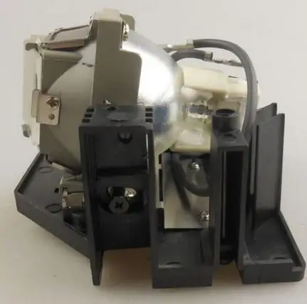 

P-VIP 260W e20.6n Compatible Projector Bulb BL-FP260A DE.5811100038 for OPTOMA EP772 TX775 with 180 days warranty