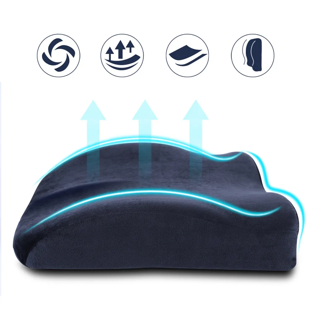 LANGRIA Newest High-Resilience Memory Foam Lumbar Back Support Cushion Relief Pillow for Office Home Car Auto Travel Booster 10