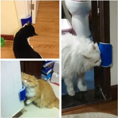 Pet-Products-Cats-Supplies-Cat-Massage-Device-Self-Groomer-With-Catnip-Pet-Toy-For-Cat-Brush