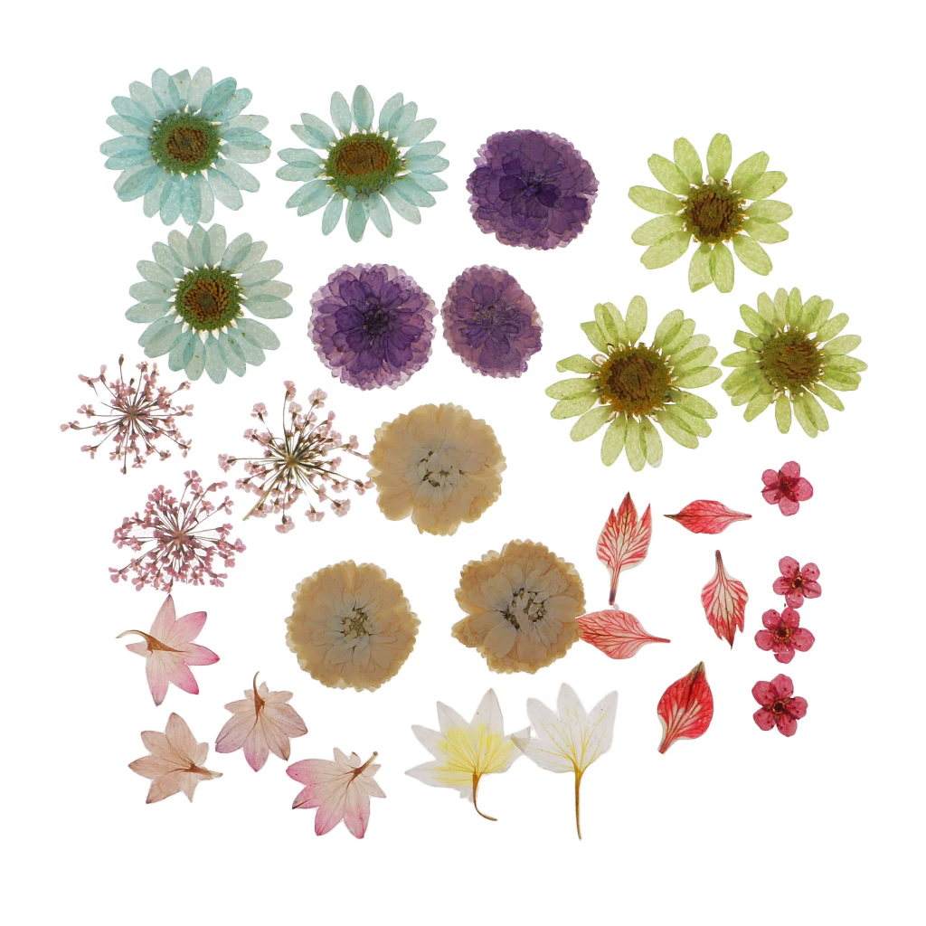 Pack Of Natural Dried Flower Real Flower Mixed For DIY Resin Ornament Craft Card Making Scrapbooking Embellishment Floral Design