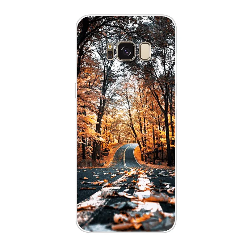 Soft Silicone TPU For Samsung Galaxy S8+ G9550 S8 plus Case Cover cartoon Painted Phone Back Protective Case S8plus G9550 shell