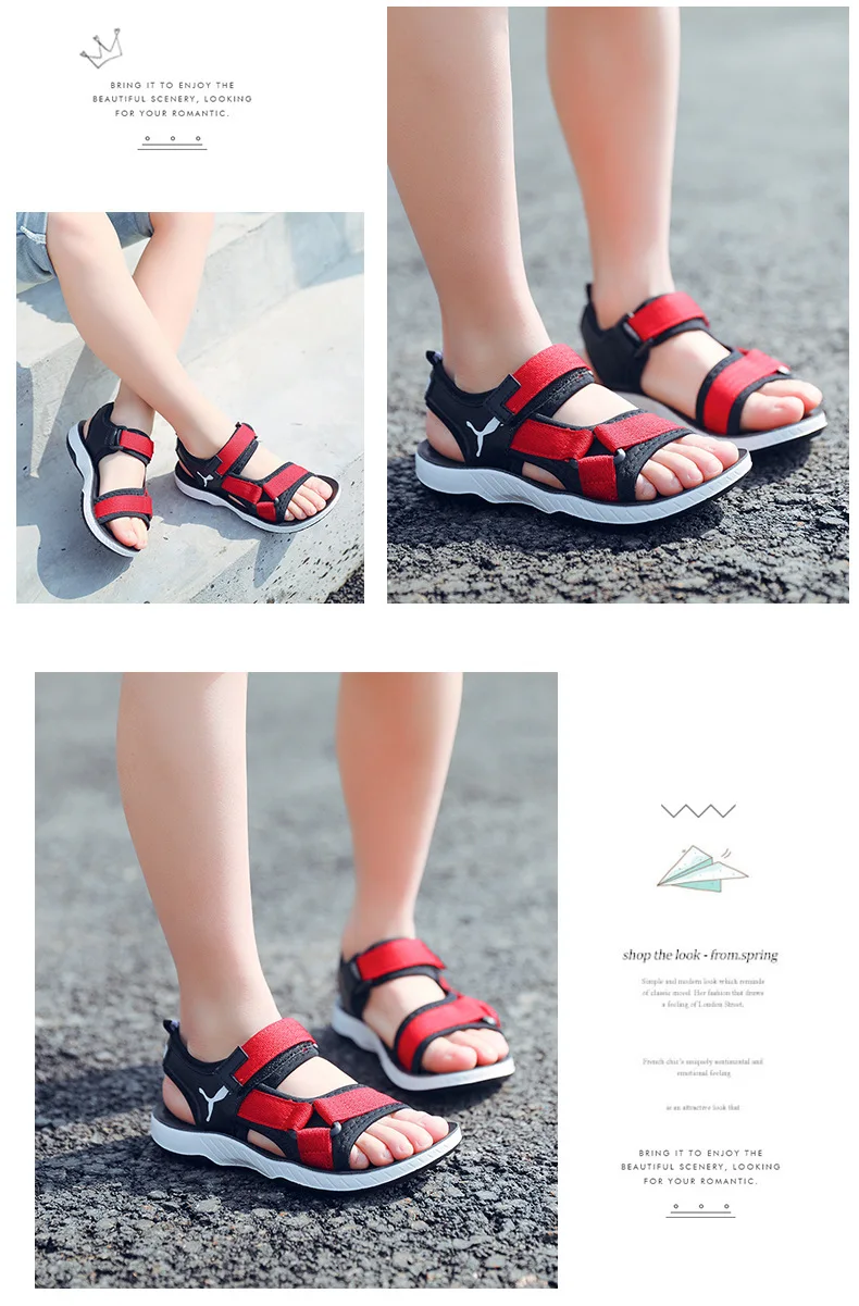 8574478362_1919636530