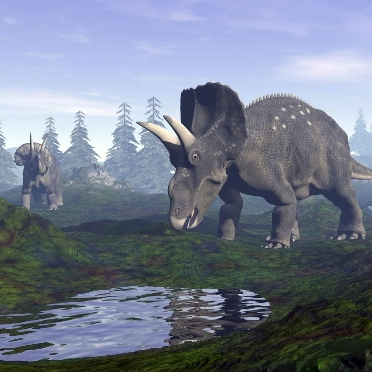 Two Nedoceratops dinosaurs walking to water puddle in the morning light Poster Print (16 x 12)