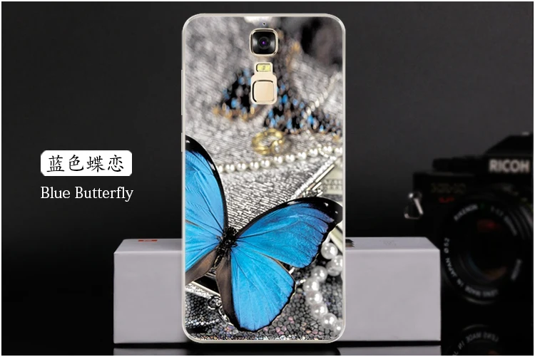  Blue Butterfly