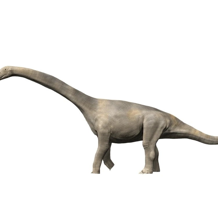 Turiasaurus riodevensis  Late Jurassic or Early Cretaceous of Spain Poster Print (32 x 24)