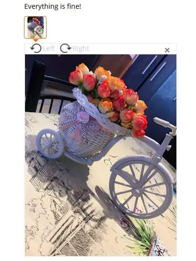 Искусственный цветок в горшках из ротанга ваза+ цветы метров весенний пейзаж пластиковый велосипед цветок набор для дома Свадебная вечеринка украшения