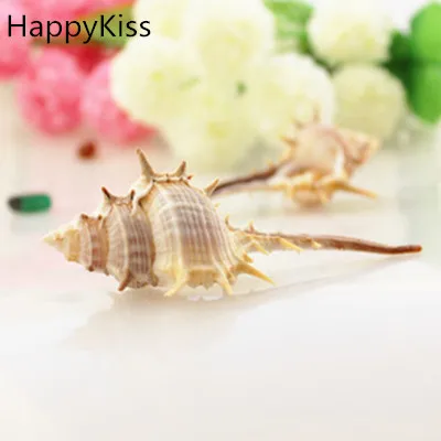 HappyKiss, 2 шт./Ло, 7-9 см, натуральные ракушки, игрушки, ракушки, натуральные поделки, натуральные, большие, вечерние, для украшения аквариума