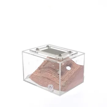 

1PCS Ant Nest Acrylic Villa Workshop Mini Eco-gypsum Ant Nest Bow-back Ant Harvesting insect
