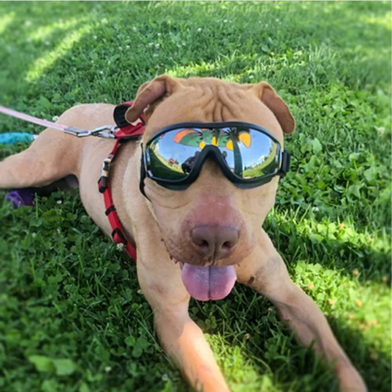 Pet Dogs УФ очки солнцезащитные очки для плавания лыжные очки водонепроницаемые ветрозащитные очки для щенков Модные солнцезащитные очки для маленьких собак