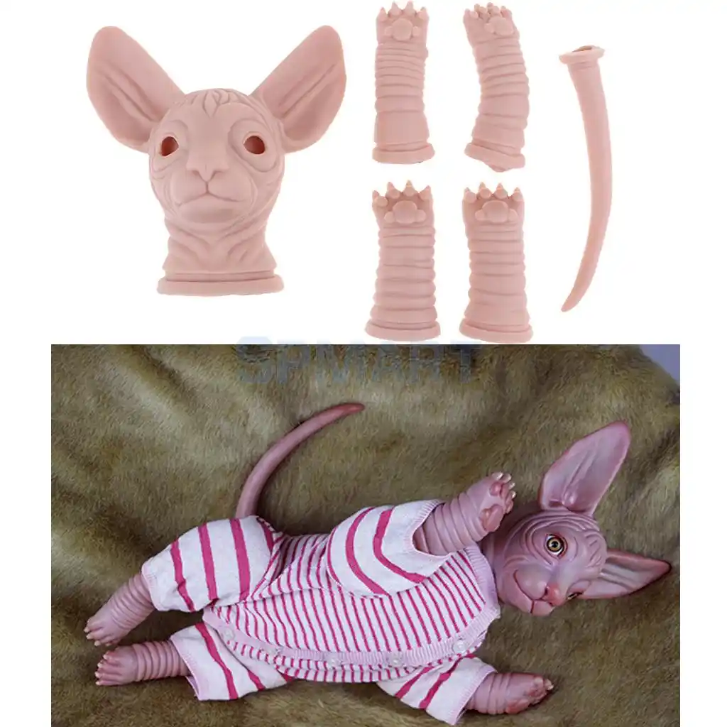 reborn sphynx cat