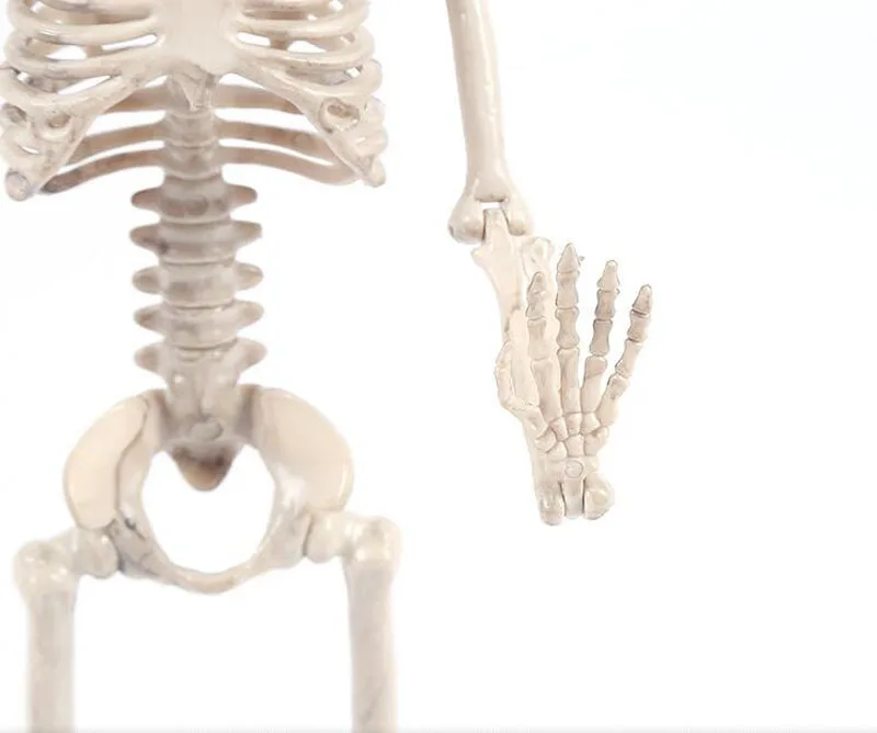 Cosplay&ware 1pairslot Halloween Decoraions Horror Skeleton Frame Haunted Ghost Bride Bridegroom Couple Party -Cosplayware Store HTB1eNQiXKH2gK0jSZJnq6yT1FXaK.jpg