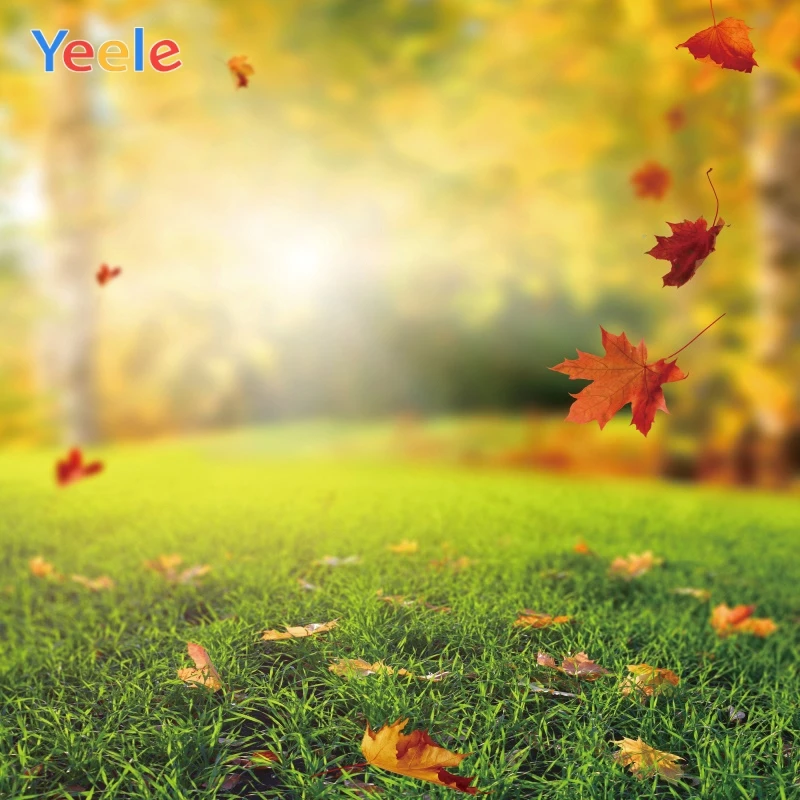 

Yeele Autumn Grassland Leaves Bokeh Light Portrait Photography Backgrounds Customized Photographic Backdrops for Photo Studio