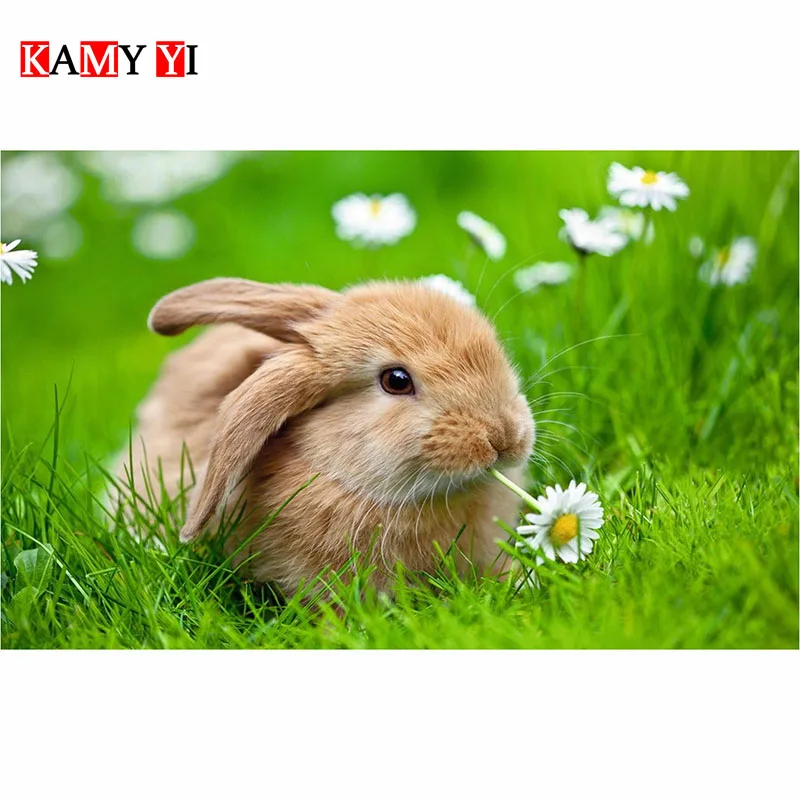 

Full SquareRound Drill 5D DIY Diamond Painting Spring rabbit 3D Diamond embroidery Cross Stitch Mosaic Home Decor Gift LK1
