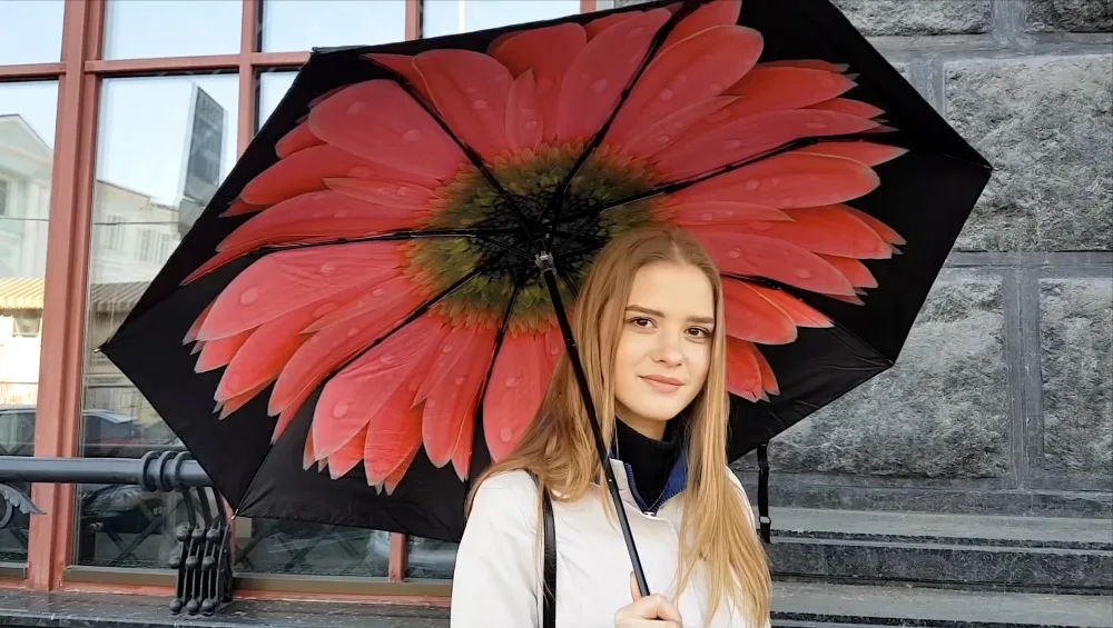 Formosa тафта UPF&gt50 + Стекловолоконная ветрозащитная 5 раз черное покрытие анти УФ
