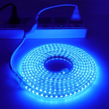

220V 2835 LED Strip Waterproof 120leds/m LED Diode Ribbon Tape Lamp Strip Led Light For Home Decoration Red Green Blue White