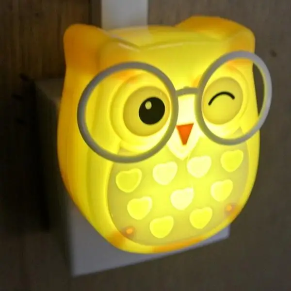 LED Night Light Lamp (6)