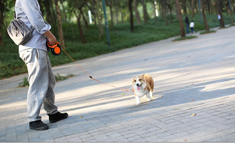 prativerdi 5 Meters Automatic Retractable Leash Traction Rope Nylon Flexible Pet Dog Lead Night Florescent Leashes Pet Products4