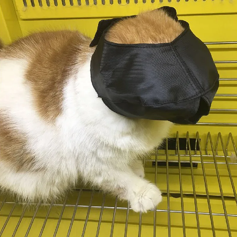 Drop Shipping Cat Grooming Muzzle Nylon Washable Bathing Snout Anti Bite Cat Muzzle Cat Travel Tool for Groomer random color Drop Shipping Cat Grooming Muzzle Nylon Washable Bathing Snout Anti Bite Cat Muzzle Cat Travel Tool for Groomer random color