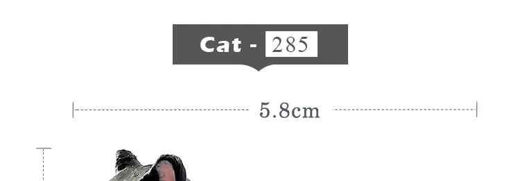 -8--MY6221_26