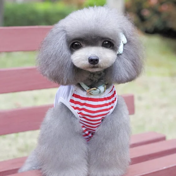 D37_Cute_Pet_Dog_Vest_Great_advanture_Navy_stripe_pattern_small_dog_vest_Puppy_dog_clothes_Sleeveless_T-shirt_costume_Apparel_ (4)