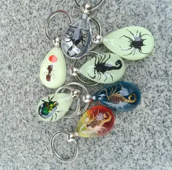 

free shipping 14 PCS SCORPION SPIDER TAXIDERMY INSECT BUG NATURAL KEY CHAIN KEY RING