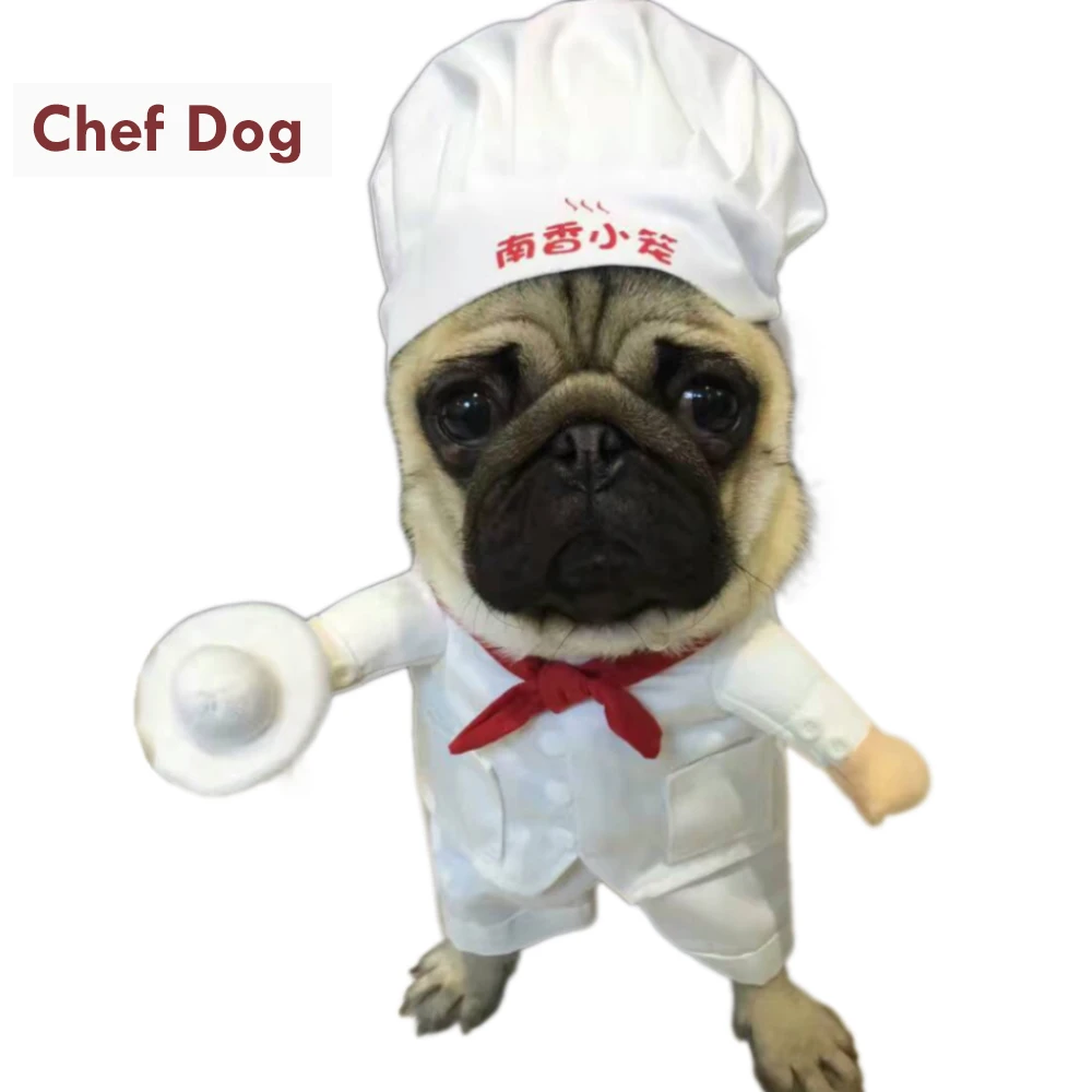 面白いスターシェフ衣装ペットのためのシェフ犬コスプレスーツ犬猫アパレルハロウィンクリスマス新年服犬 Dog Coats Jackets Aliexpress