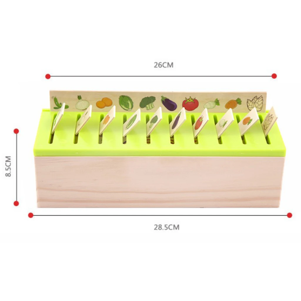 Wood Montessori Sorting Toys Kit for Kids Learning Category Matching