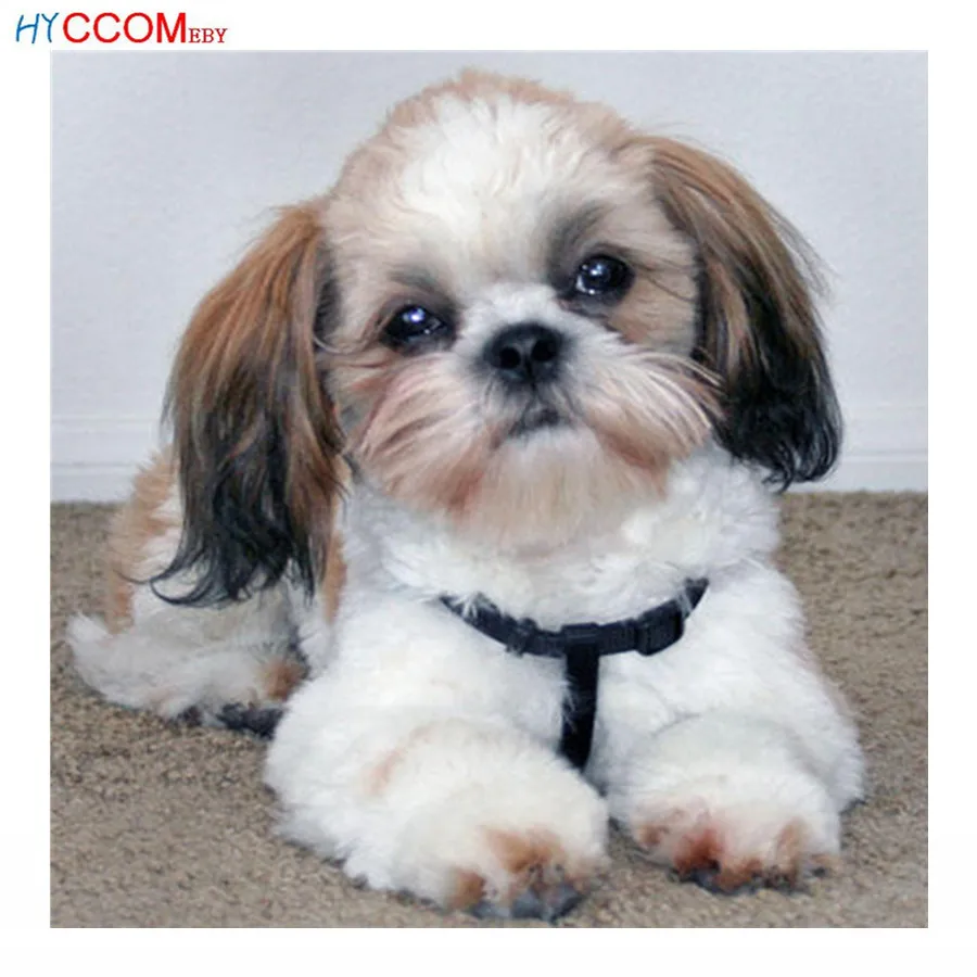 Shih tzu dog ручная работа алмазная живопись животные 5D полный квадрат бесплатная