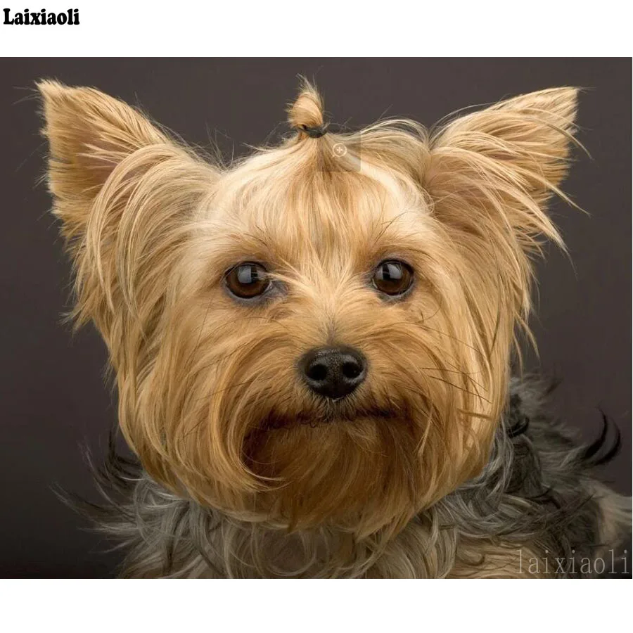 

custom 5D diy Diamond Embroidery Yorkshire Terrier DIY Diamond Painting Cross Stitch pet dog picture Mosaic Kit full square art