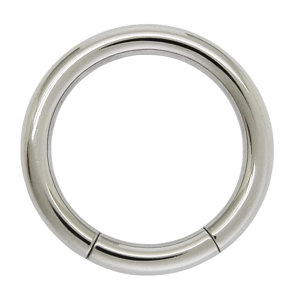3mm x 19mm Surgical Steel Body Piercing Segment Ringin Body Jewelry