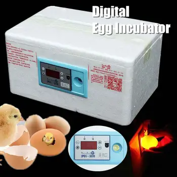 

Home Digital Waterbed Incubator for Chicken Ducks Geese Poultry Eggs