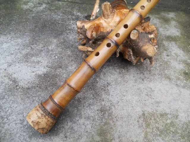 Китайский бамбуковый флейта Nan Xiao японский Shakuhachi G/F ключ вертикальный духовой Профессиональный музыкальный инструмент 8 отверстий Bambu Flauta