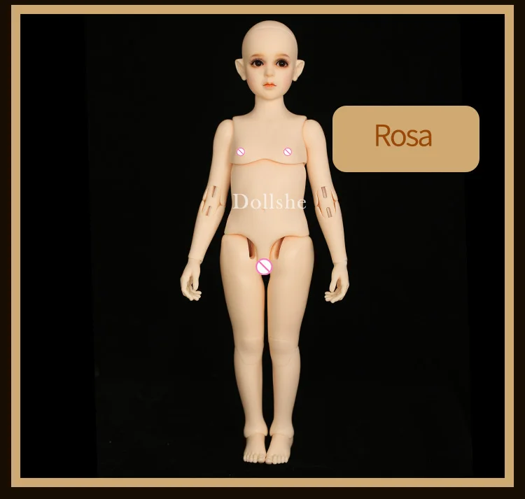 Rosa_10