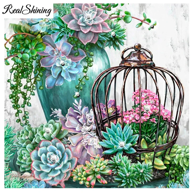 Flower succulent plants 999